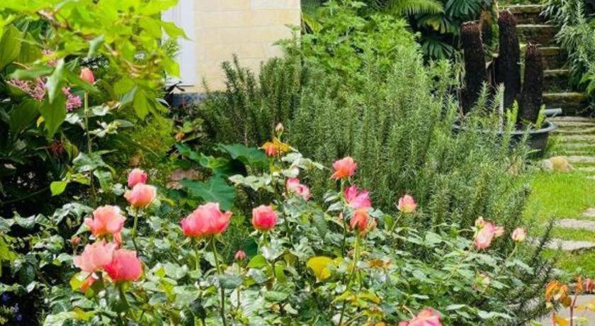 La Roza Dalat Boutique Hotel Zewnętrze zdjęcie