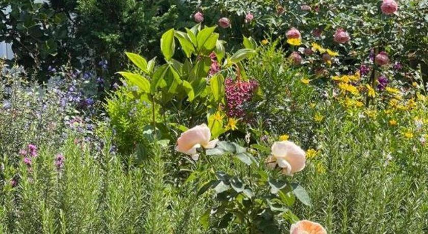 La Roza Dalat Boutique Hotel Zewnętrze zdjęcie