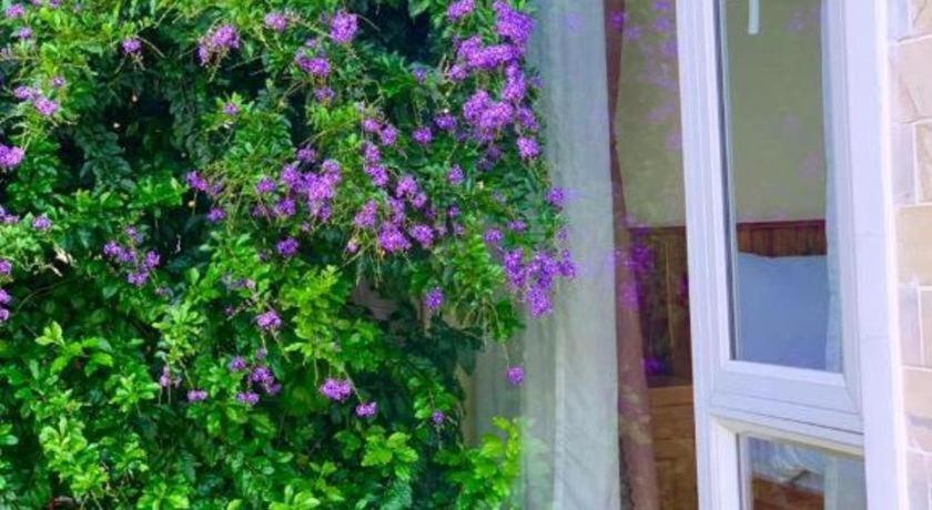 La Roza Dalat Boutique Hotel Zewnętrze zdjęcie