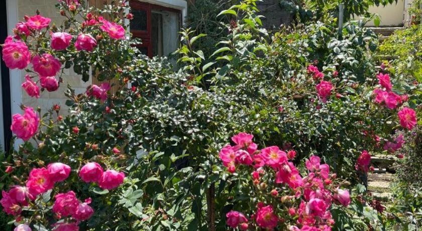 La Roza Dalat Boutique Hotel Zewnętrze zdjęcie